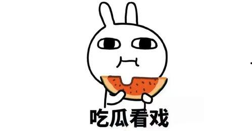 娱乐吃瓜鹅君,揭秘娱乐圈那些不为人知的幕后故事